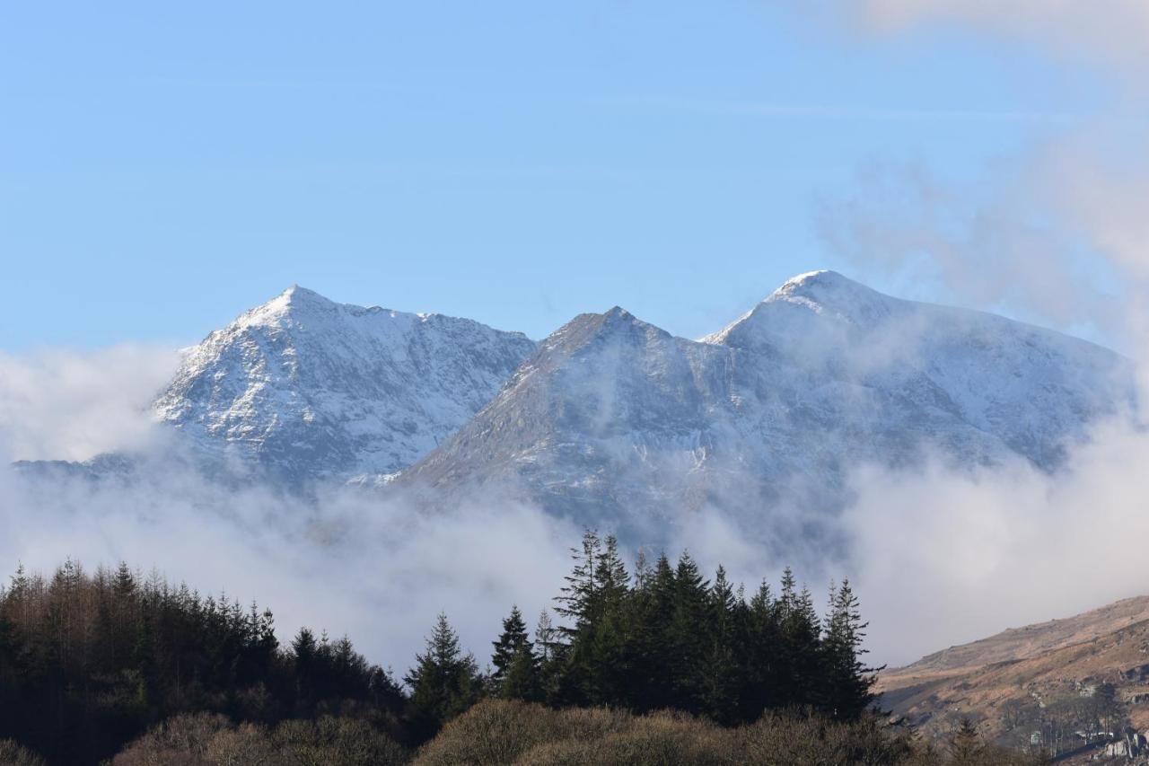 Herberg The Bryn At